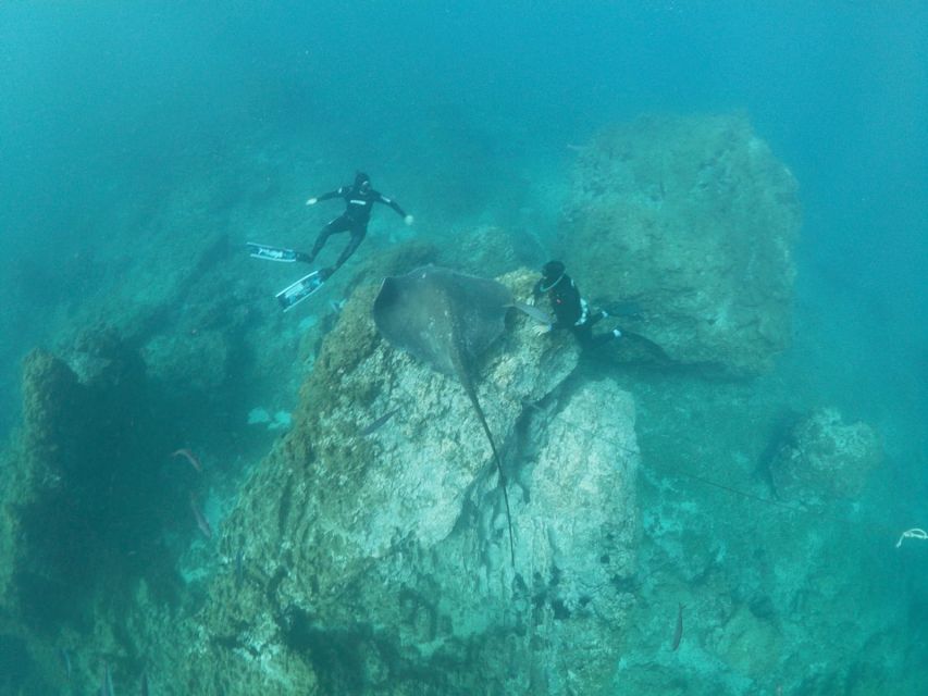 Abades: Tenerife Turtles and Rays Snorkeling Trip - Practical notes that make the difference