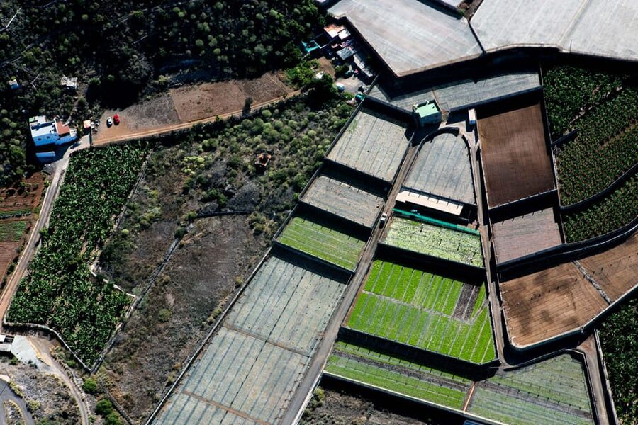 Adeje: Scenic Tenerife Helicopter Flight - Small group comfort and your place in the cabin