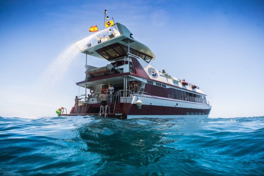 Adeje: Whale and Dolphin Watching Cruise with Lunch and Swim - Key Things I’d Mark on Your Map