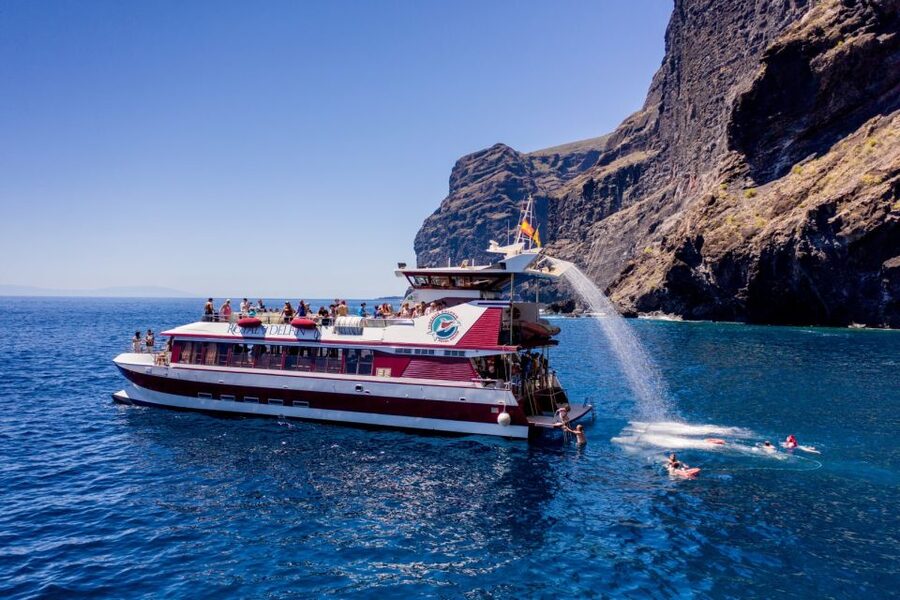 Adeje: Whale and Dolphin Watching Cruise with Lunch and Swim - Respecting Wildlife Without Killing the Fun