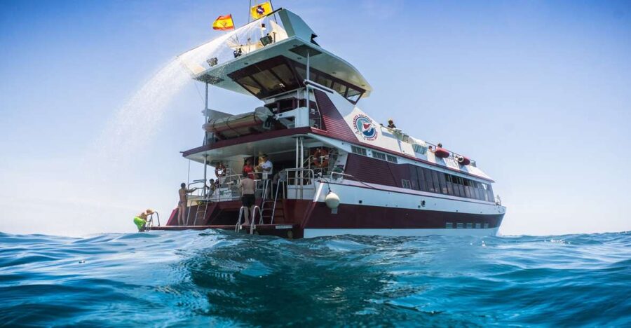 Adeje: Whale and Dolphin Watching Cruise with Lunch and Swim - The Boat: Submarine Windows, Glass-Bottom Viewing, and Deck Choice