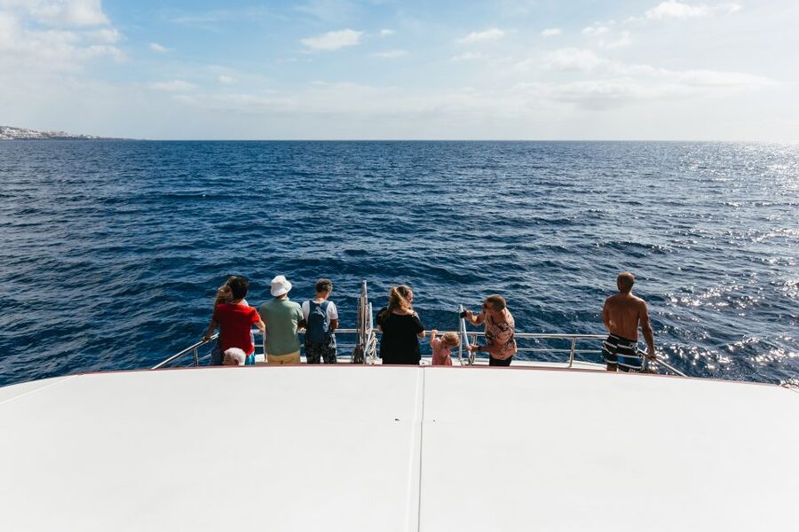 Adeje: Whale and Dolphin Watching Cruise with Lunch and Swim - How Whale and Dolphin Spotting Actually Happens