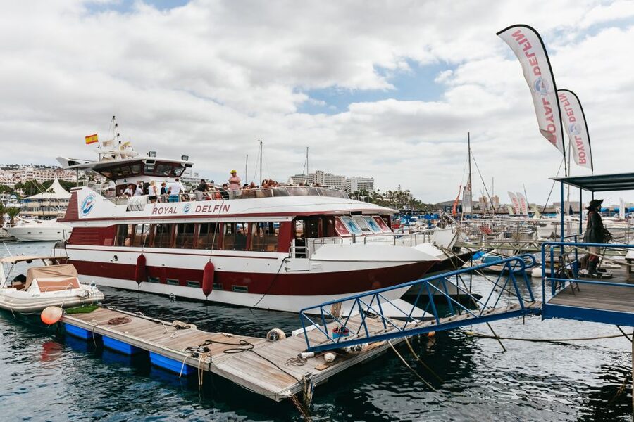 Adeje: Whale and Dolphin Watching Cruise with Lunch and Swim - The Underwater View: Why the Submarine Windows Are More Than a Gimmick