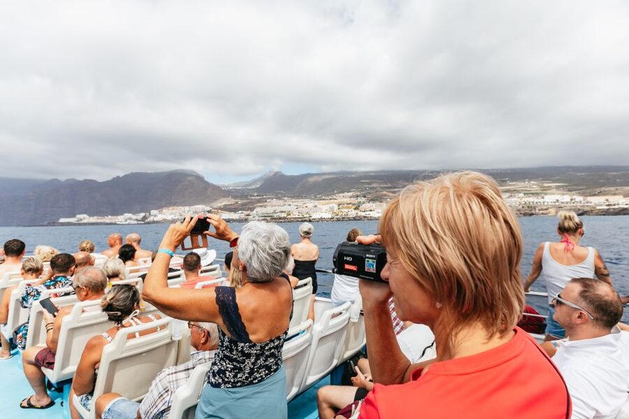 Adeje: Whale and Dolphin Watching Cruise with Lunch and Swim - What the Schedule Feels Like (So You Can Plan Your Day)