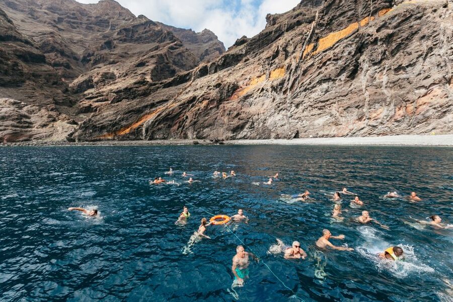 Adeje: Whale and Dolphin Watching Cruise with Lunch and Swim - Seasickness, Weather, and Getting the Best Views