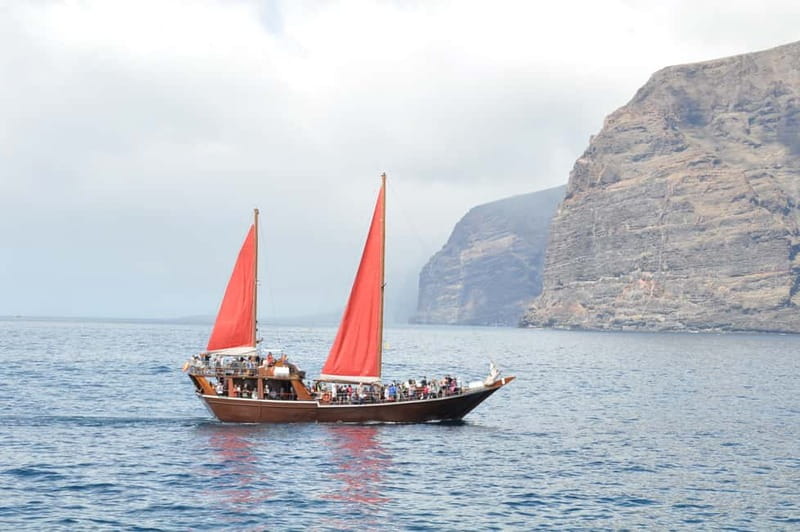 Adeje: Whale Watching, Lunch & Swim Stop at Los Gigantes - Lunch on board: what’s included and how it fits the experience