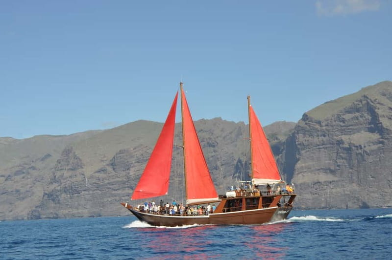 Adeje: Whale Watching, Lunch & Swim Stop at Los Gigantes - Who this tour suits best (and who should think twice)