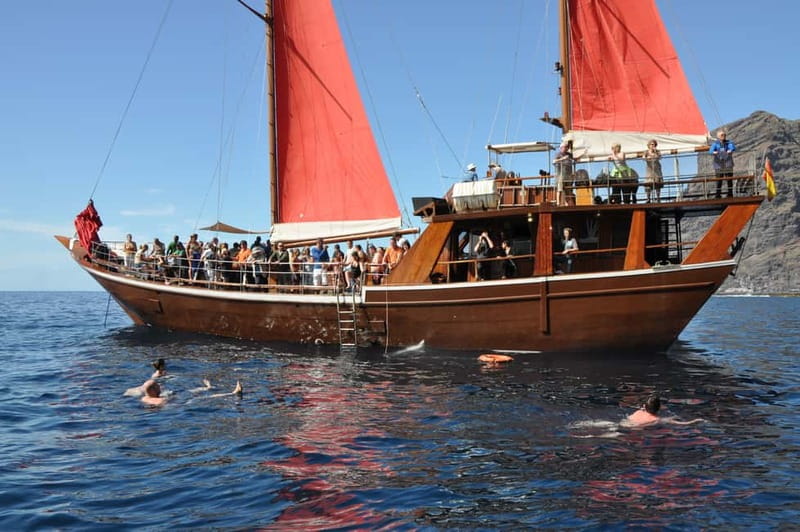 Adeje: Whale Watching, Lunch & Swim Stop at Los Gigantes - Tips so your day goes better on the water