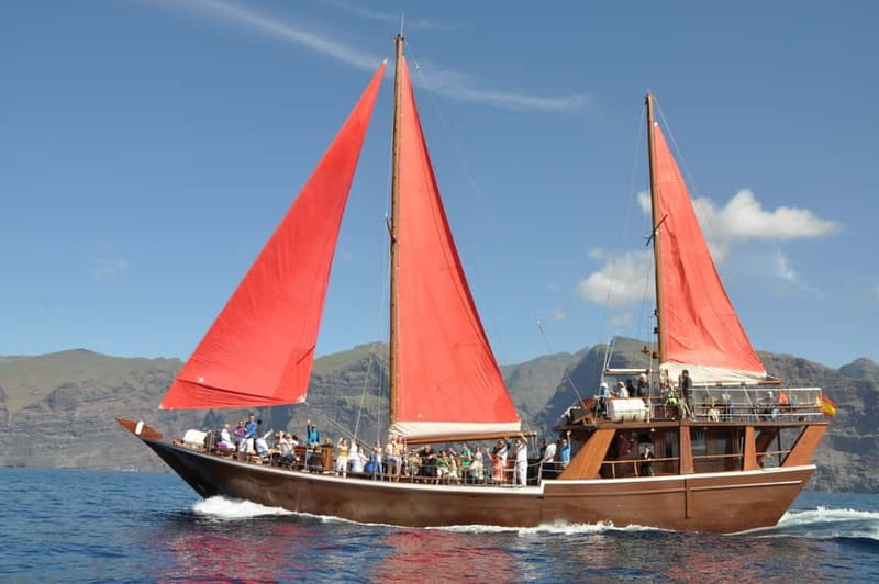 Adeje: Whale Watching, Lunch & Swim Stop at Los Gigantes - Whale and dolphin watching in southwest Tenerife waters