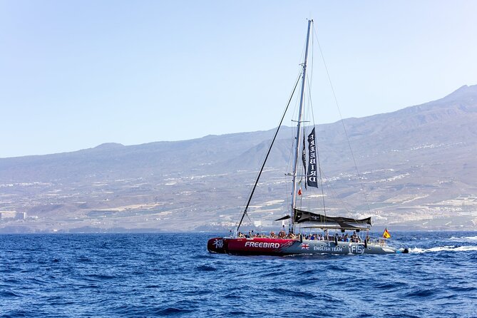 Adults Only Tenerife Freebird Whale Dolphin Catamaran with Lunch - Setting Sail from Tenerife: What the Timing Feels Like
