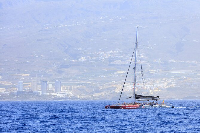 Adults Only Tenerife Freebird Whale Dolphin Catamaran with Lunch - Who This Catamaran Trip Fits Best (and Who Should Skip)