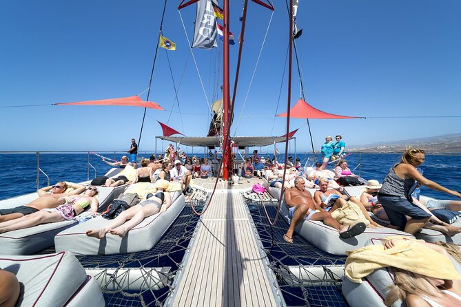 Adults Only Tenerife Freebird Whale Dolphin Catamaran with Lunch - Tenerife’s Marine-Life Waters: Your Best Shot at Whales and Dolphins