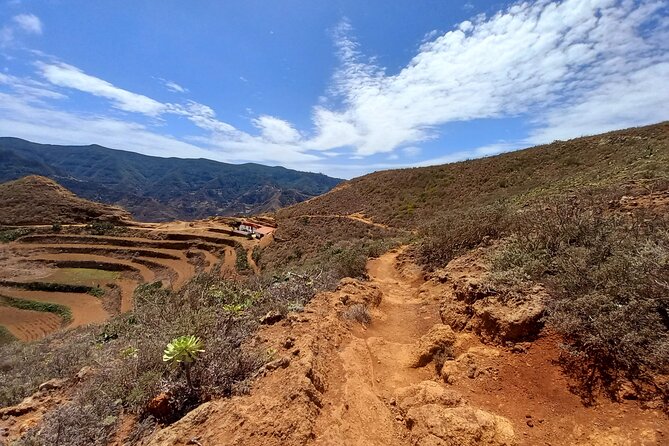 Amazing Anaga - Parque Rural de Anaga: What You’ll See During Stop One