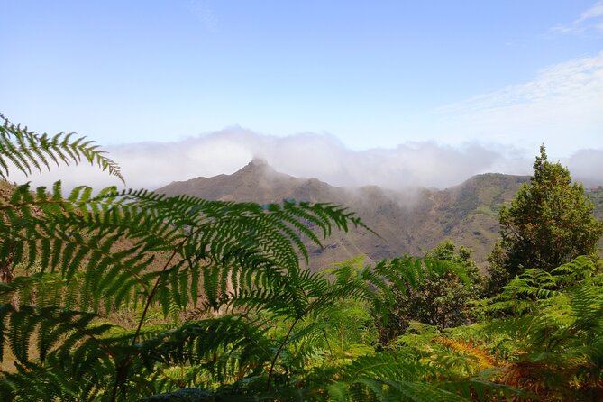 Amazing Anaga - Andy and the Small-Group Advantage: Safer, Smarter Hiking