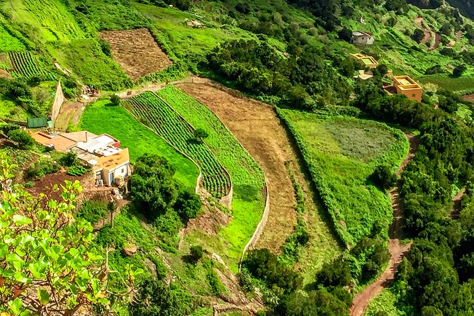 Anaga Private Tour: Valleys of Nature and Tradition - Mirador Pico del Inglés and the viewpoints that teach you Tenerife’s geology
