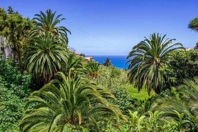 Anaga Private Tour: Valleys of Nature and Tradition - Price and logistics: does $920.24 per group make sense?