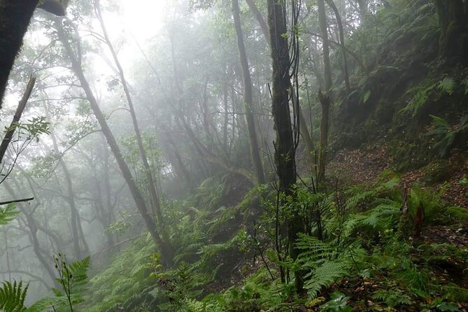 ANAGA: VIP tour: Forests, Peaks and Sea. - Key points worth knowing before you go