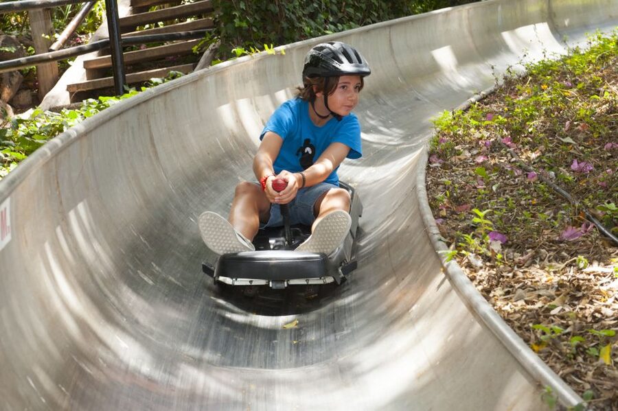 Arona: Entry Ticket to Tenerife's Jungle Park Zoo - Key Things I’d Highlight Before You Go