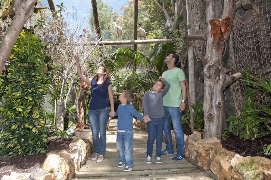 Arona: Entry Ticket to Tenerife's Jungle Park Zoo - Arona Jungle Park: A Jungle Zoo You Can Actually Walk Through