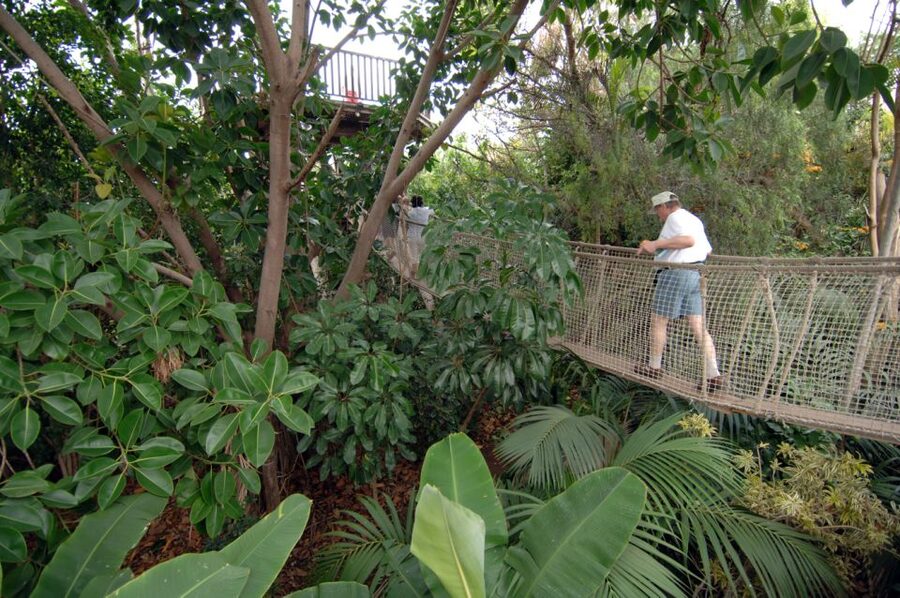 Arona: Entry Ticket to Tenerife's Jungle Park Zoo - Lemurs, Orchids, and the Free-Flight Aviary: Wandering Time That Feels Purposeful