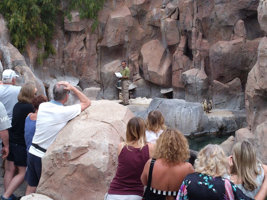 Arona: Entry Ticket to Tenerife's Jungle Park Zoo - Ticket Value: What Your $41 Entry Really Buys (and What Costs Extra)