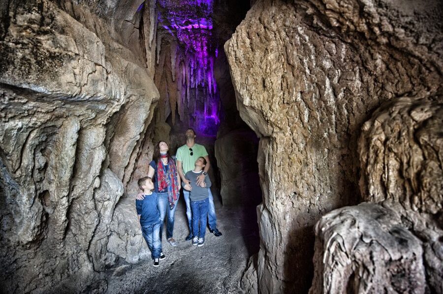 Arona: Entry Ticket to Tenerife's Jungle Park Zoo - Small Annoyances Worth Knowing (Before They Annoy You)