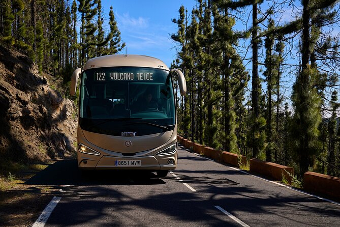 Astronomic Small-Group Tour on Tenerife Teide Observatory - Why Teide Observatory Night Tours Feel Different