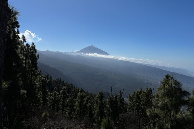 Authentic Tenerife, Teide and Masca on a Private Tour. - Mirador de Cherfe and Masca: gorge views first, then real village time
