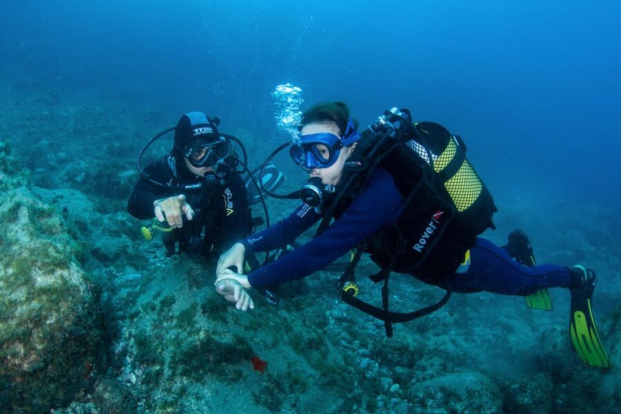Beginner Scuba Dive with Scubapoint Tenerife in Turtle Area - Key things that make this first scuba trial work