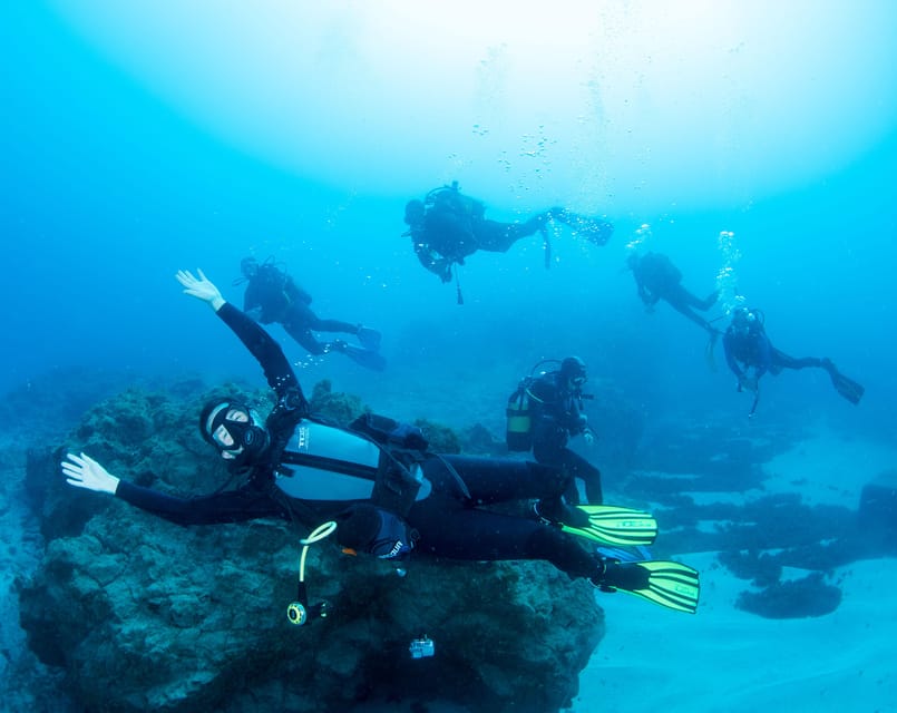 Beginner Scuba Dive with Scubapoint Tenerife in Turtle Area - Puerto Colón Meeting Point: how the session starts in Tenerife