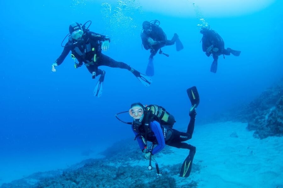 Beginner Scuba Dive with Scubapoint Tenerife in Turtle Area - Gear and a boat trip: why the included setup feels like value