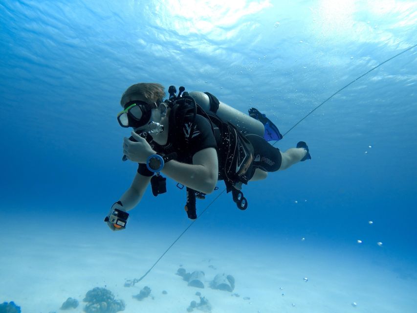 Beginner Scuba Dive with Scubapoint Tenerife in Turtle Area - Price and value: is $88 fair for a first-timer session?