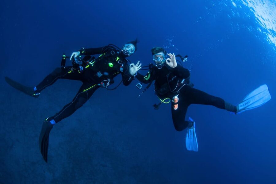 Beginner Scuba Dive with Scubapoint Tenerife in Turtle Area - Who should go (and who should skip) in Tenerife