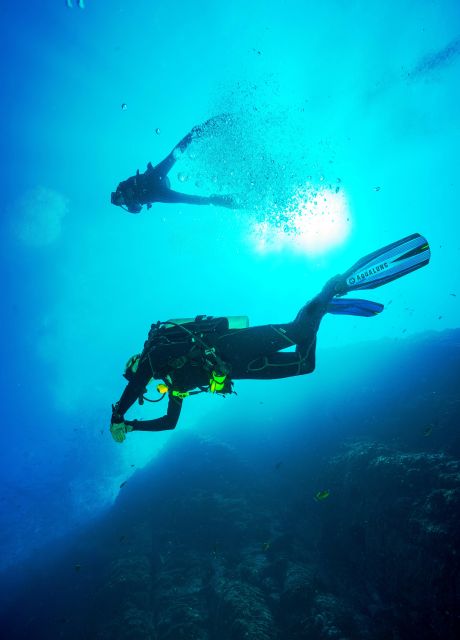 Beginner Scuba Dive with Scubapoint Tenerife in Turtle Area - On-land briefing: what you learn before you go underwater