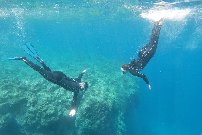 Boat Excursion to visit underwater lava tongues - Price of $58.81: How to Judge the Value