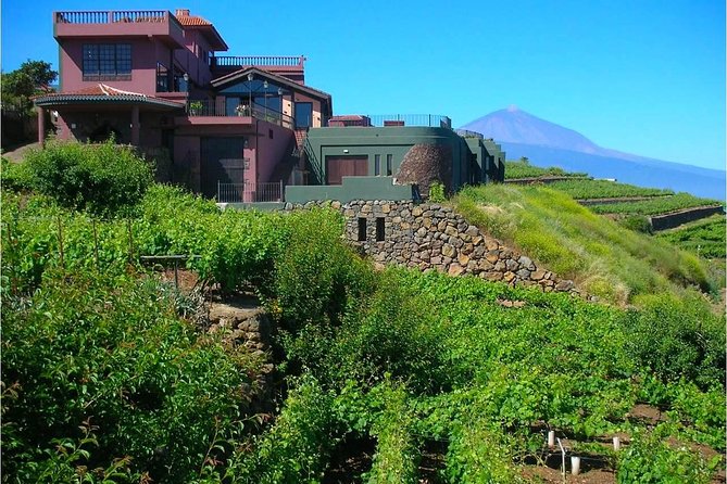 Bodegas Monje Winery Ticket w/Wine Tasting & Mojo Sauce Workshop - Price and Value: What $55.51 Includes (and Why It’s Not Just a Tasting)