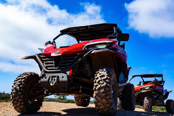 Buggy Coastal adventure - Key things to know before you book