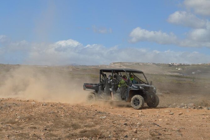 Buggy or Quad Tour Volcano Teide in Teide National Park - Should you book the Buggy/Quad Teide tour?