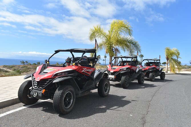 Buggy tour to Teide in Tenerife - The Cho area and the plant-and-rock route: crops, dirt-road talk, and what to expect