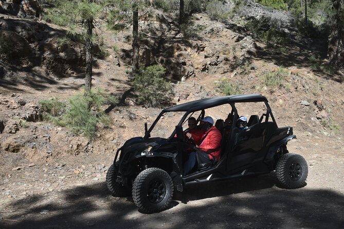 Buggy tour to Teide in Tenerife - Price and value: what $235 per group buys you