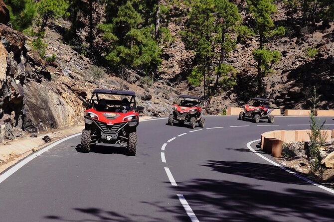 Buggy tour to Teide in Tenerife - Getting there from Santa Cruz: pickup, meeting point, and how it starts
