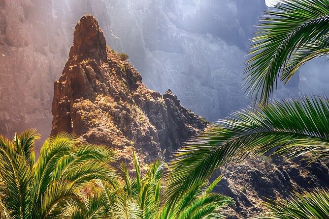 Cabrio Bus Full Day Guided Tour of Teide (SOUTH ONLY) - Las Cañadas de El Teide: UNESCO views with enough time to breathe