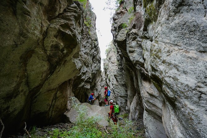 Canyoning in Tenerife South - Meeting Point and Timing: Plan Your Tenerife Day Around It