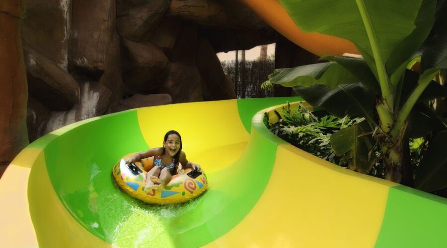 Costa Adeje: Aqualand Water Park Ticket with Dolphin Show - Lockers, sunbeds, and food prices: the small stuff that decides if the day feels good