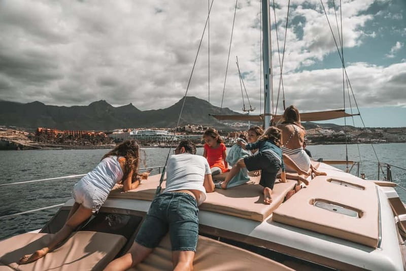 Costa Adeje: Catamaran Tour, Snorkelling, Snacks & Drinks - Wildlife spotting at sea: dolphins, turtles, and what the crew does (well)