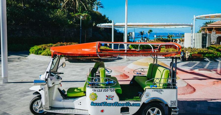 Costa Adeje: Double Tuk Tuk Tour - The volcanic thread: Caldera del Rey and why bananas grow here