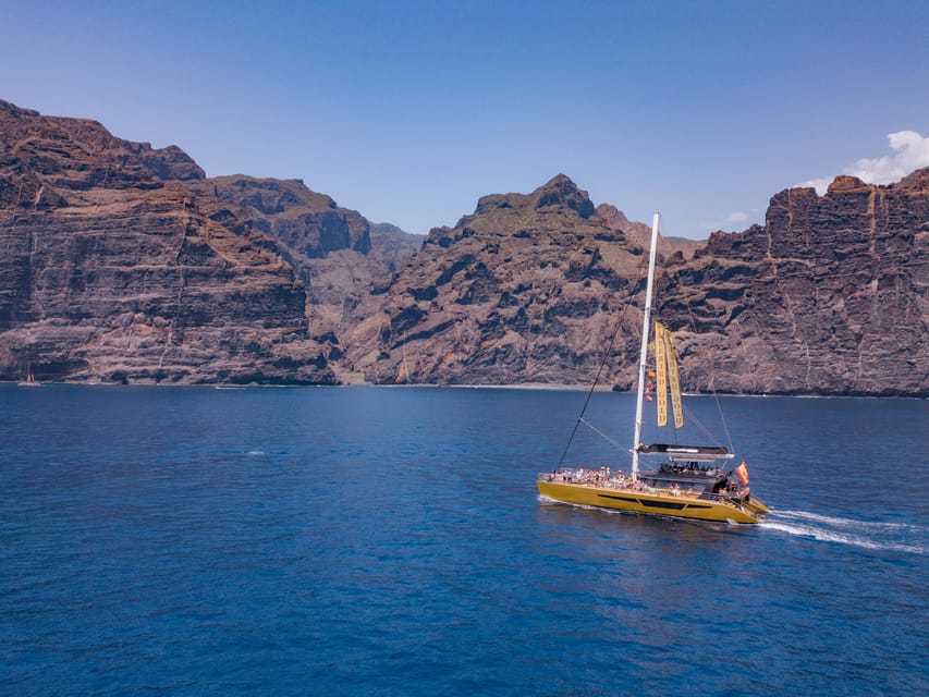 Costa Adeje: Masca and Los Gigantes Whale Watching Cruise - Key highlights you’ll actually care about