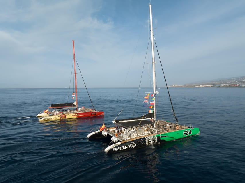Costa Adeje: Masca and Los Gigantes Whale Watching Cruise - Dolphin spotting and the first sightings feeling