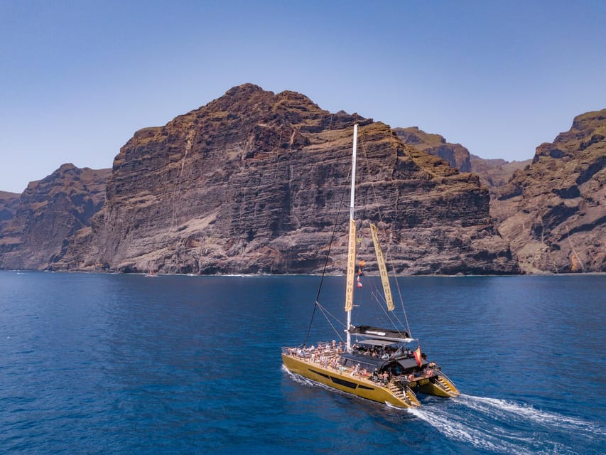 Costa Adeje: Masca and Los Gigantes Whale Watching Cruise - Whale watching in the channel to La Gomera: what makes it special