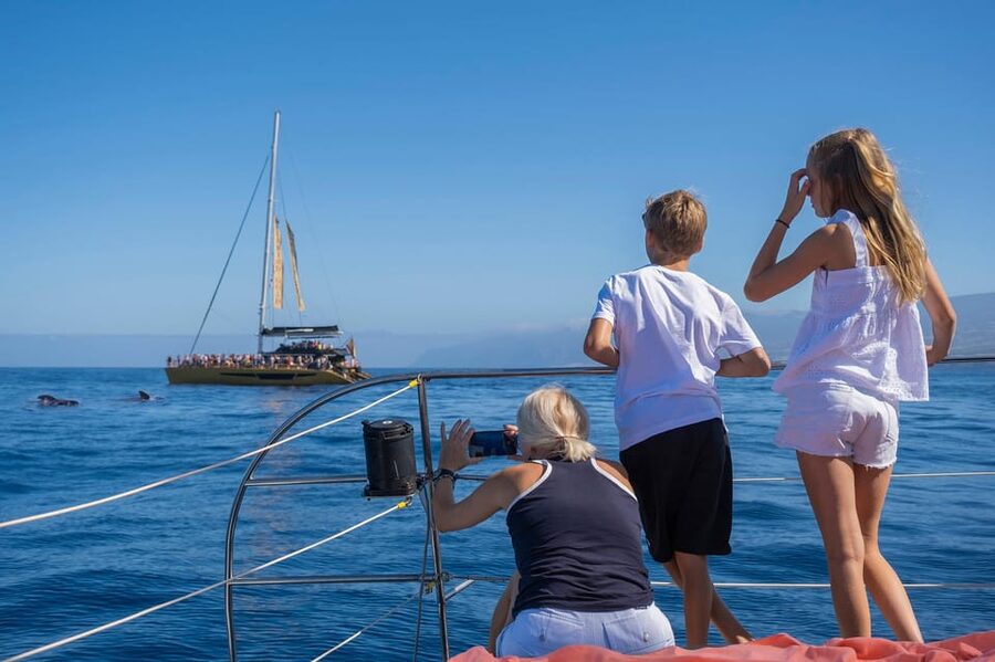 Costa Adeje: Masca and Los Gigantes Whale Watching Cruise - Deck time, sunbeds, and the comfort reality